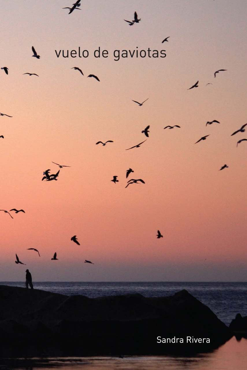 Portada de Vuelo de gaviotas